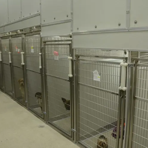 Large kennel area at Animal Care Center of Plainfield